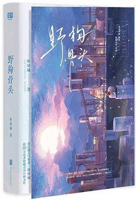 野狗骨头（2024年11月北京联合出版公司出版的图书）