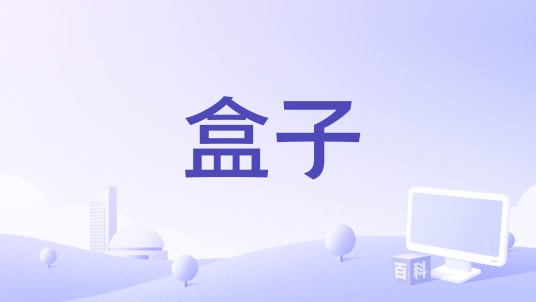 盒子(1994年葡萄牙、法国电影)