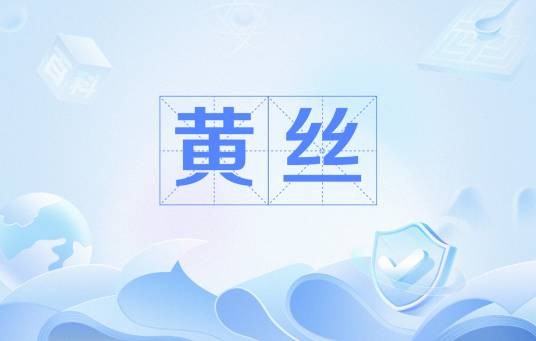 黄丝(网络用语)