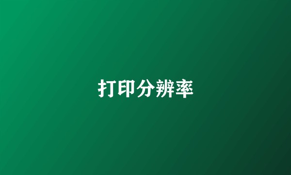打印分辨率