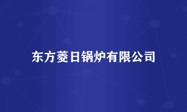 东方菱日锅炉有限公司