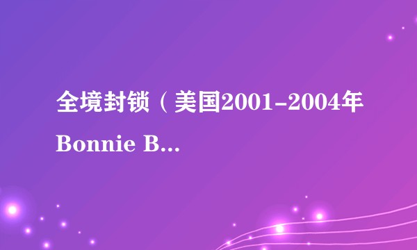 全境封锁（美国2001-2004年Bonnie Bedelia等主演的犯罪剧集）