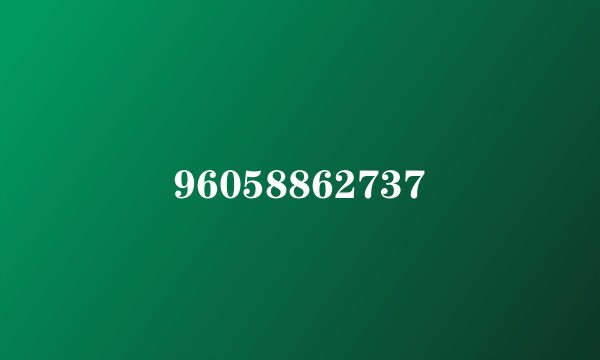96058862737