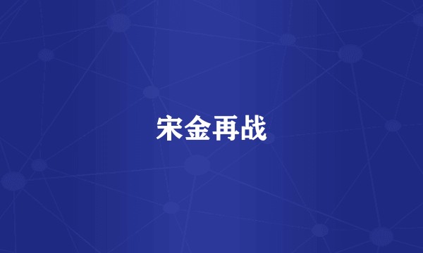 宋金再战