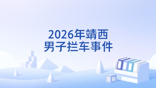 2026年靖西男子拦车事件