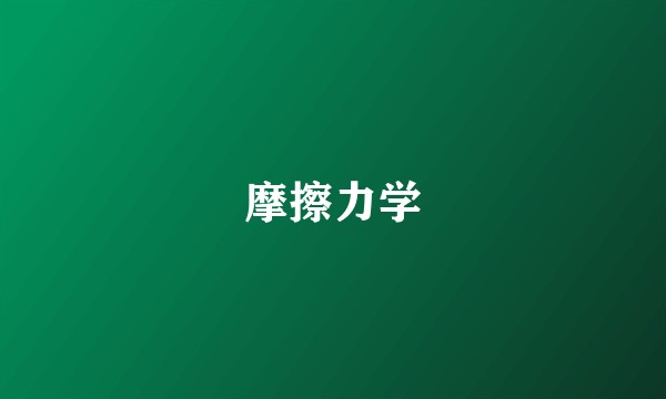 摩擦力学