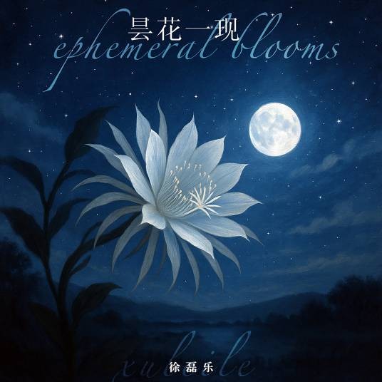 昙花一现（徐磊乐演唱的歌曲）