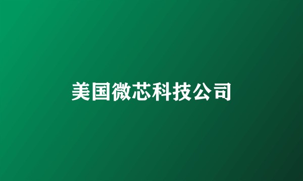美国微芯科技公司