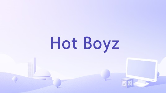 Hot Boyz(美国Master P执导的电影)