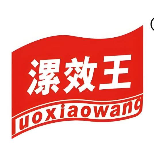 漯效王集团