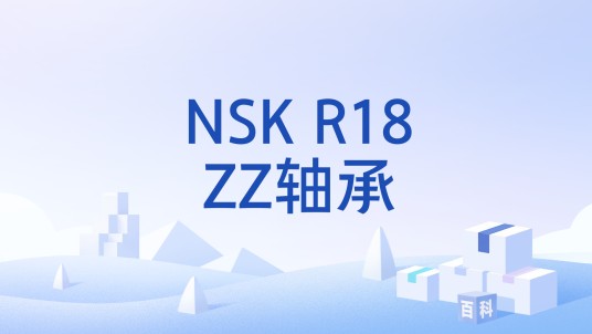 NSK R18ZZ轴承