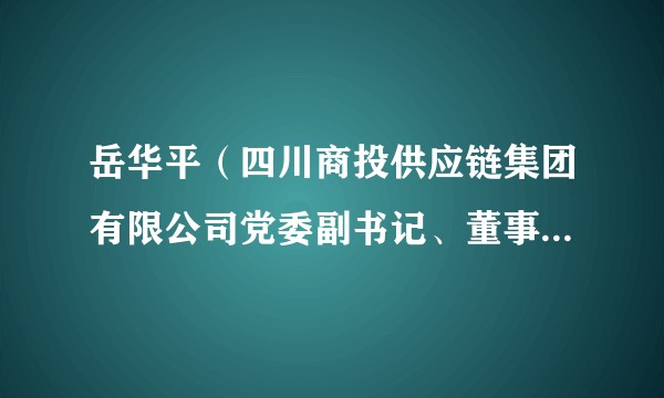 岳华平（四川商投供应链集团有限公司党委副书记、董事、副总经理）
