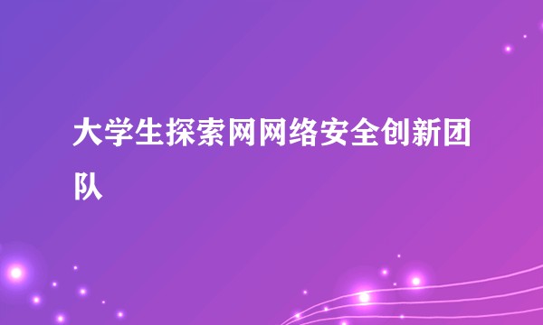 大学生探索网网络安全创新团队