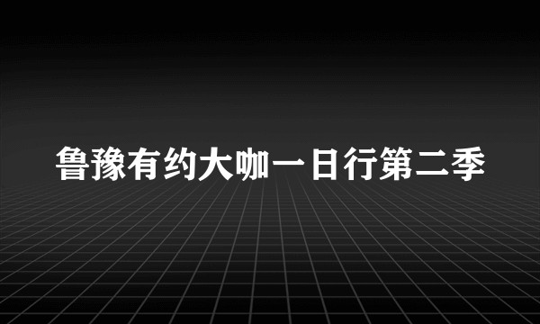 鲁豫有约大咖一日行第二季
