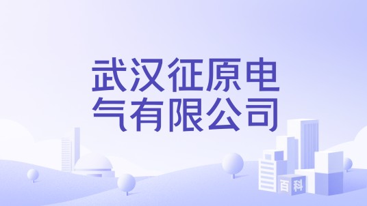 武汉征原电气有限公司