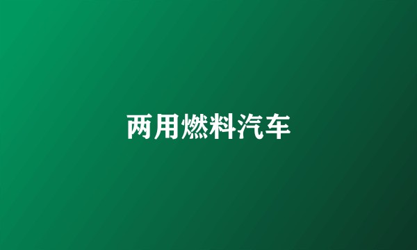 两用燃料汽车