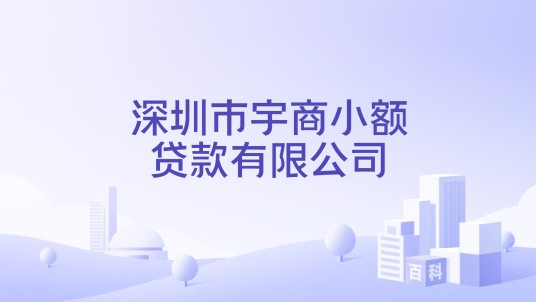 深圳市宇商小额贷款有限公司