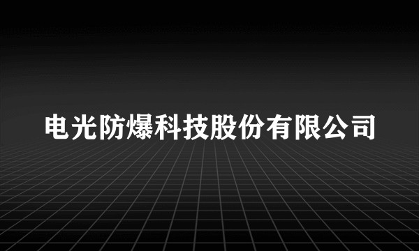 电光防爆科技股份有限公司