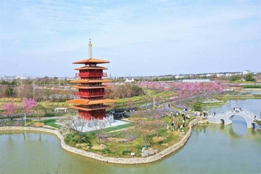 武汉湿地樱花园