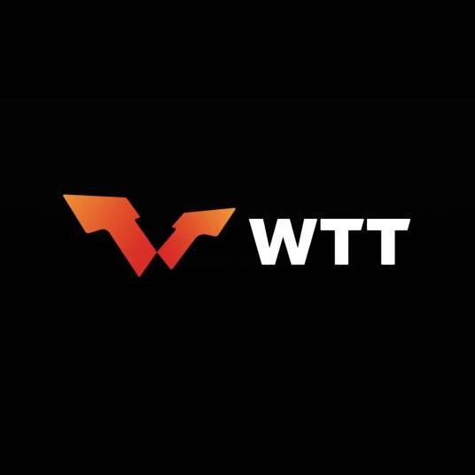 2024年WTT新规争议