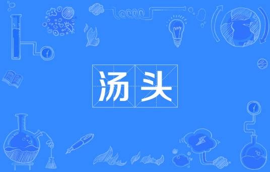 汤头（中药配方）