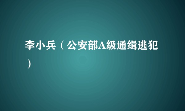 李小兵(公安部A级通缉逃犯)
