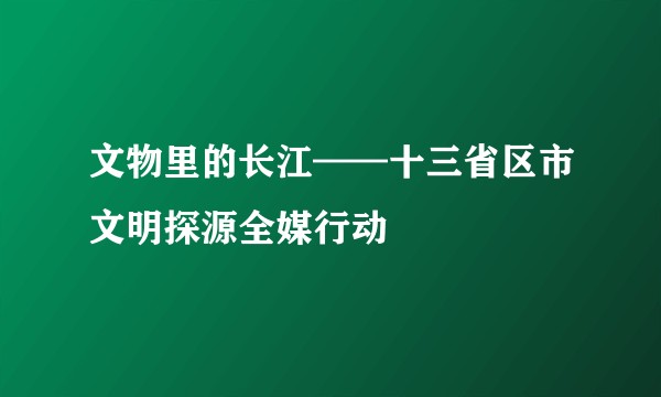 文物里的长江——十三省区市文明探源全媒行动