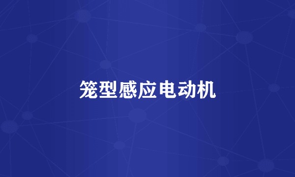 笼型感应电动机