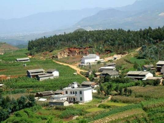 行政村