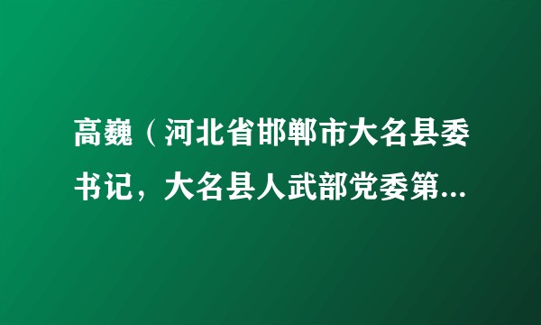 高巍(河北省邯郸市大名县委书记,大名县人武部党委第一书记)