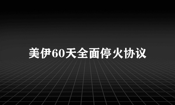 美伊60天全面停火协议