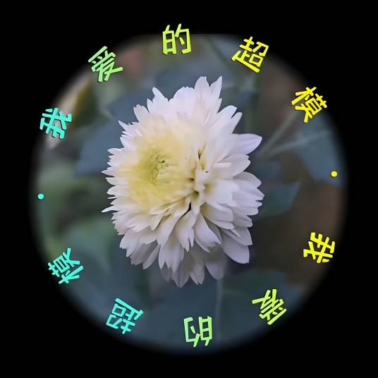 我爱的超模