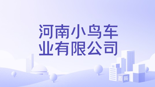 河南小鸟车业有限公司