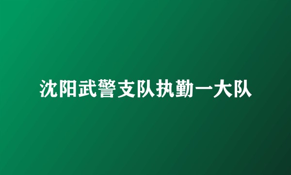 沈阳武警支队执勤一大队