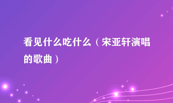 看见什么吃什么(宋亚轩演唱的歌曲)