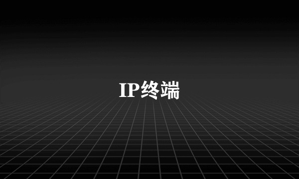 IP终端