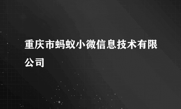 重庆市蚂蚁小微信息技术有限公司