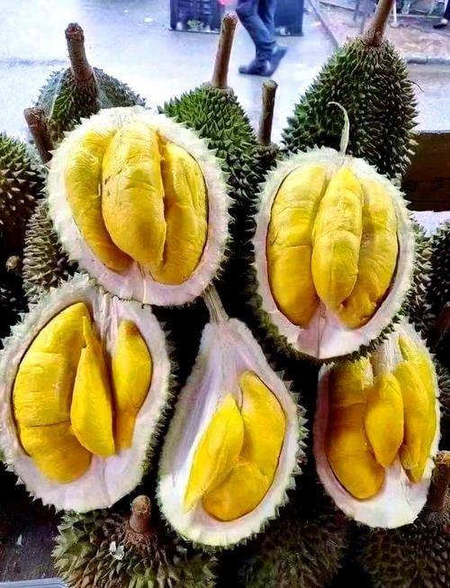 东南亚榴莲