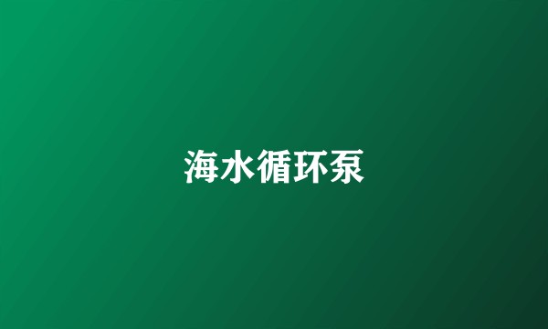 海水循环泵