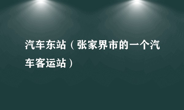 汽车东站（张家界市的一个汽车客运站）