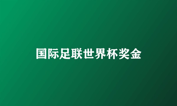 国际足联世界杯奖金