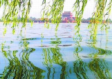 隋堤烟柳（永城市的历史景观，属永城八景之一）