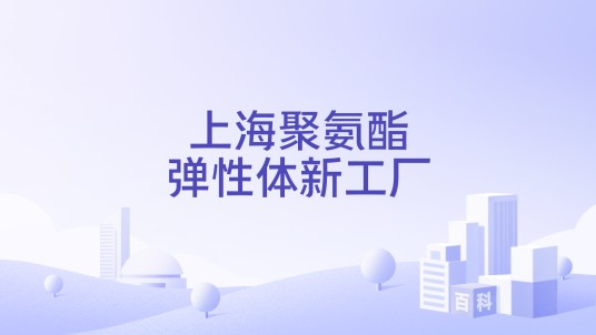 上海聚氨酯弹性体新工厂