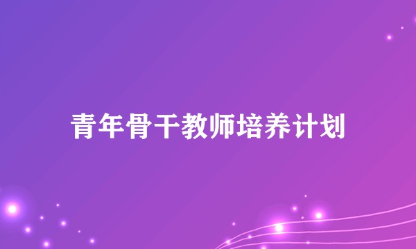 青年骨干教师培养计划