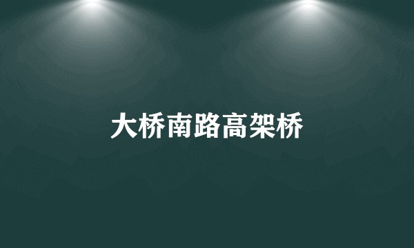 大桥南路高架桥