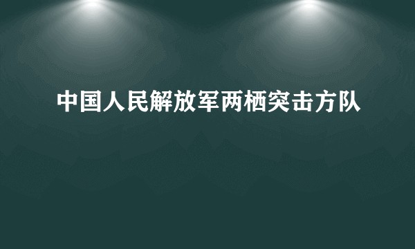 中国人民解放军两栖突击方队