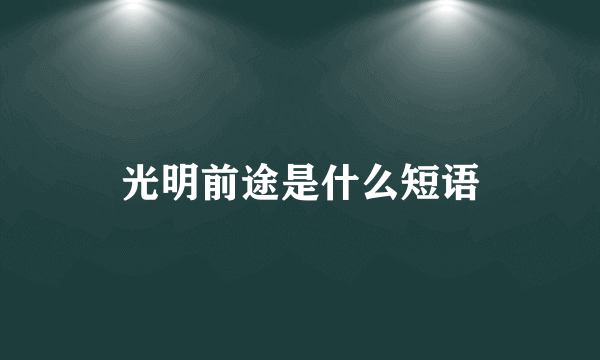 光明前途是什么短语