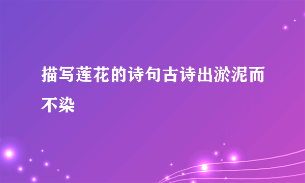 描写莲花的诗句古诗出淤泥而不染