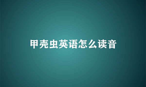甲壳虫英语怎么读音