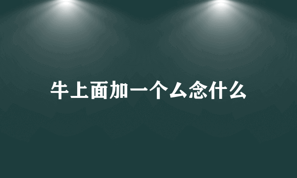 牛上面加一个厶念什么